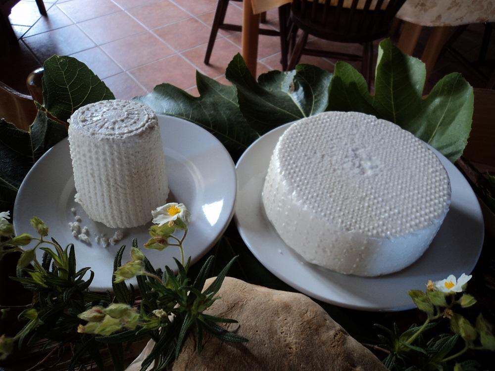 אשאה Agriturismo Aurella מראה חיצוני תמונה